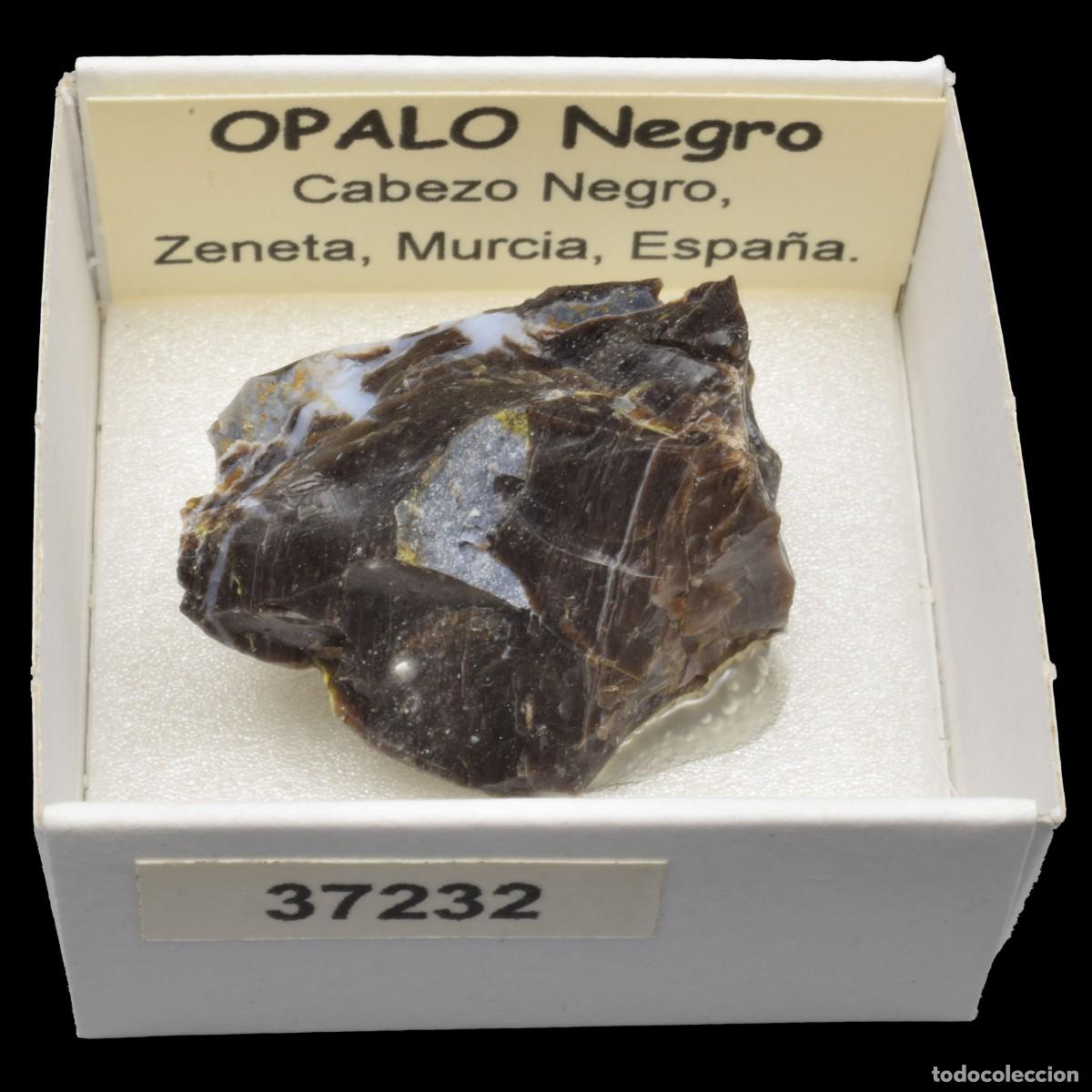 Coleccionismo de minerales: OPALO Negro (Cabezo Negro, Zeneta, Murcia, Espa&ntilde;a) #37232