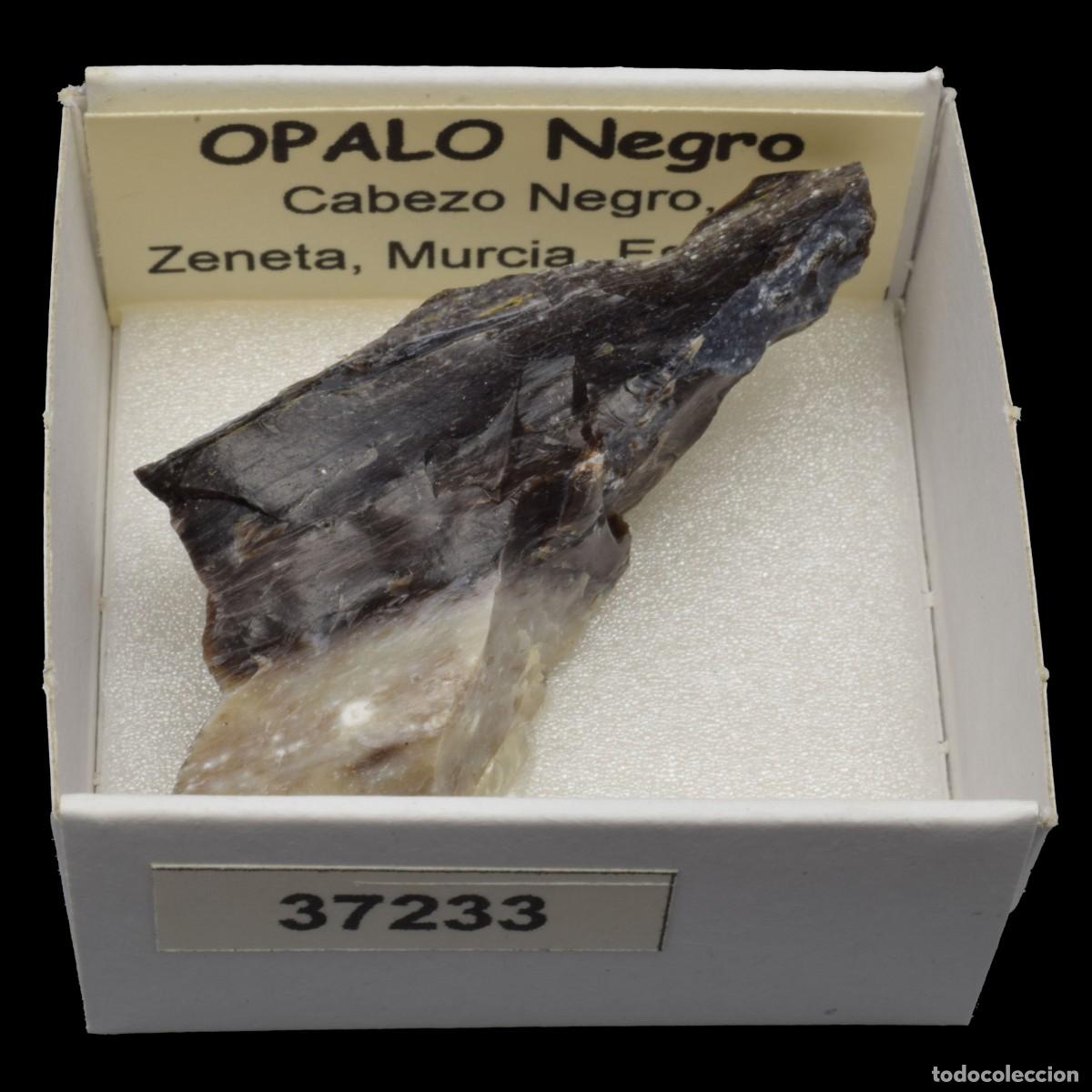 Coleccionismo de minerales: OPALO Negro (Cabezo Negro, Zeneta, Murcia, Espa&ntilde;a) #37233