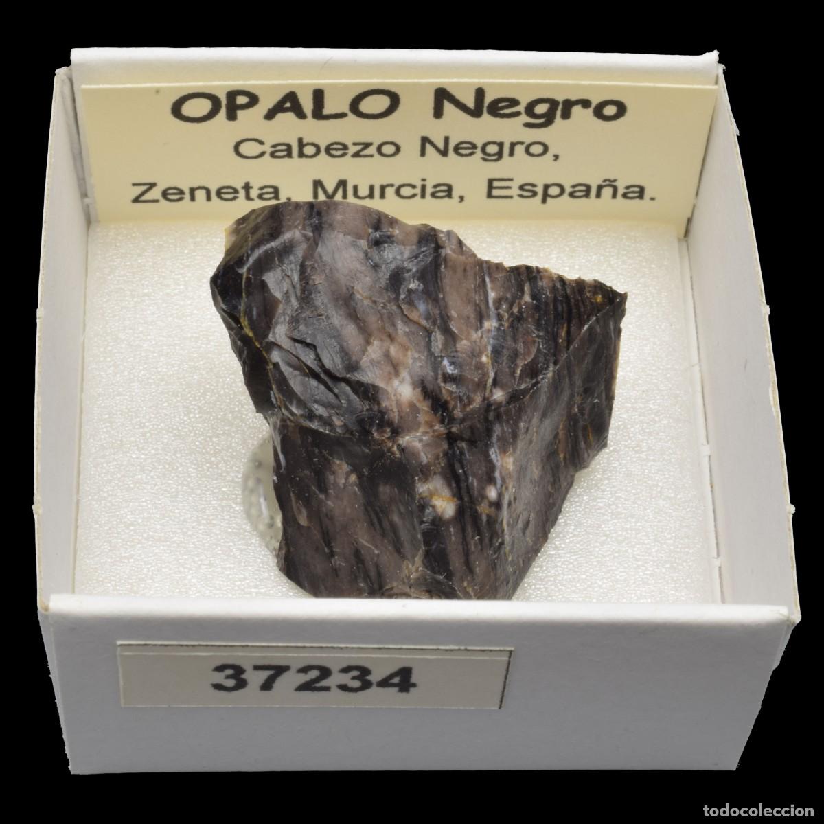 Coleccionismo de minerales: OPALO Negro (Cabezo Negro, Zeneta, Murcia, Espa&ntilde;a) #37234