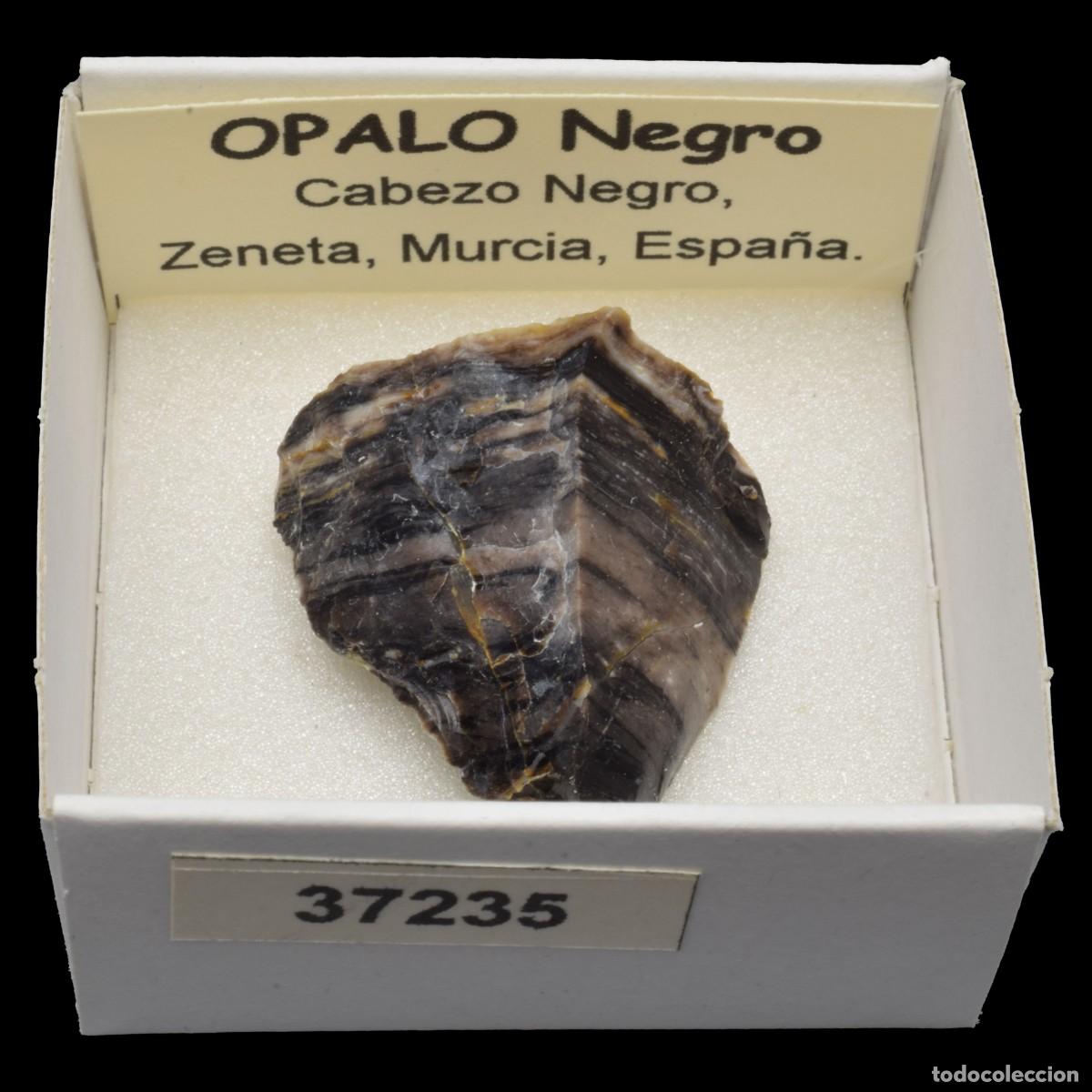 Coleccionismo de minerales: OPALO Negro (Cabezo Negro, Zeneta, Murcia, Espa&ntilde;a) #37235
