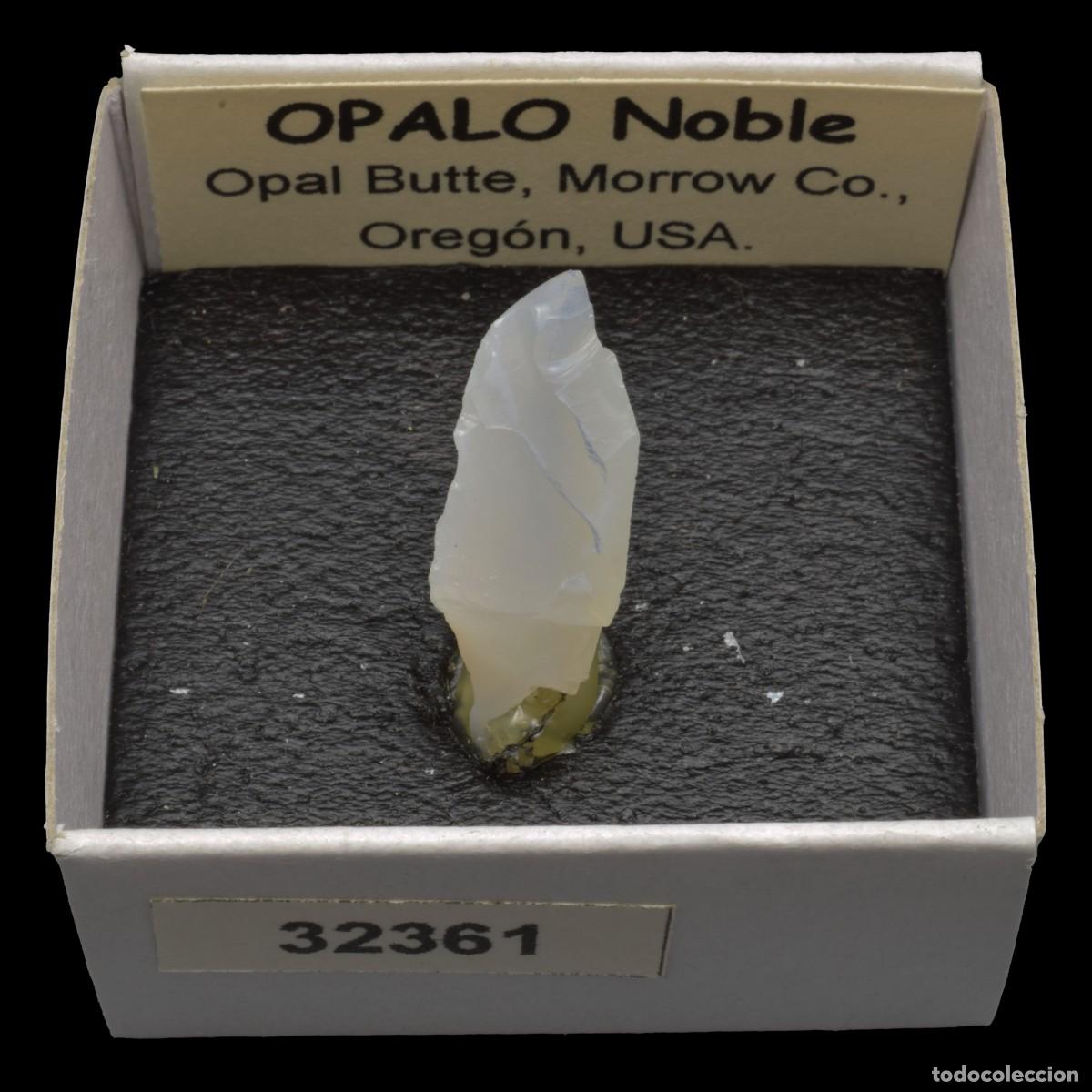 Coleccionismo de minerales: OPALO Noble (Opal Butte, Morrow Co., Oregon, USA) #32361