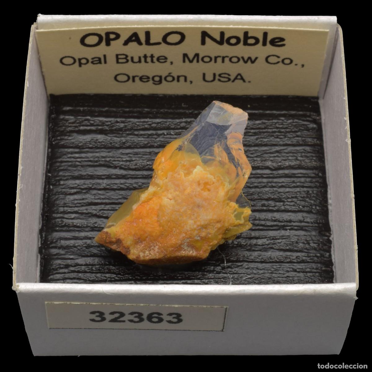 Coleccionismo de minerales: OPALO Noble (Opal Butte, Morrow Co., Oregon, USA) #32363