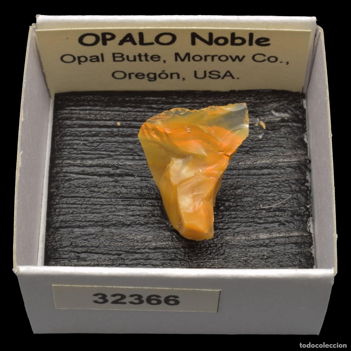 Coleccionismo de minerales: OPALO Noble (Opal Butte, Morrow Co., Oregon, USA) #32366