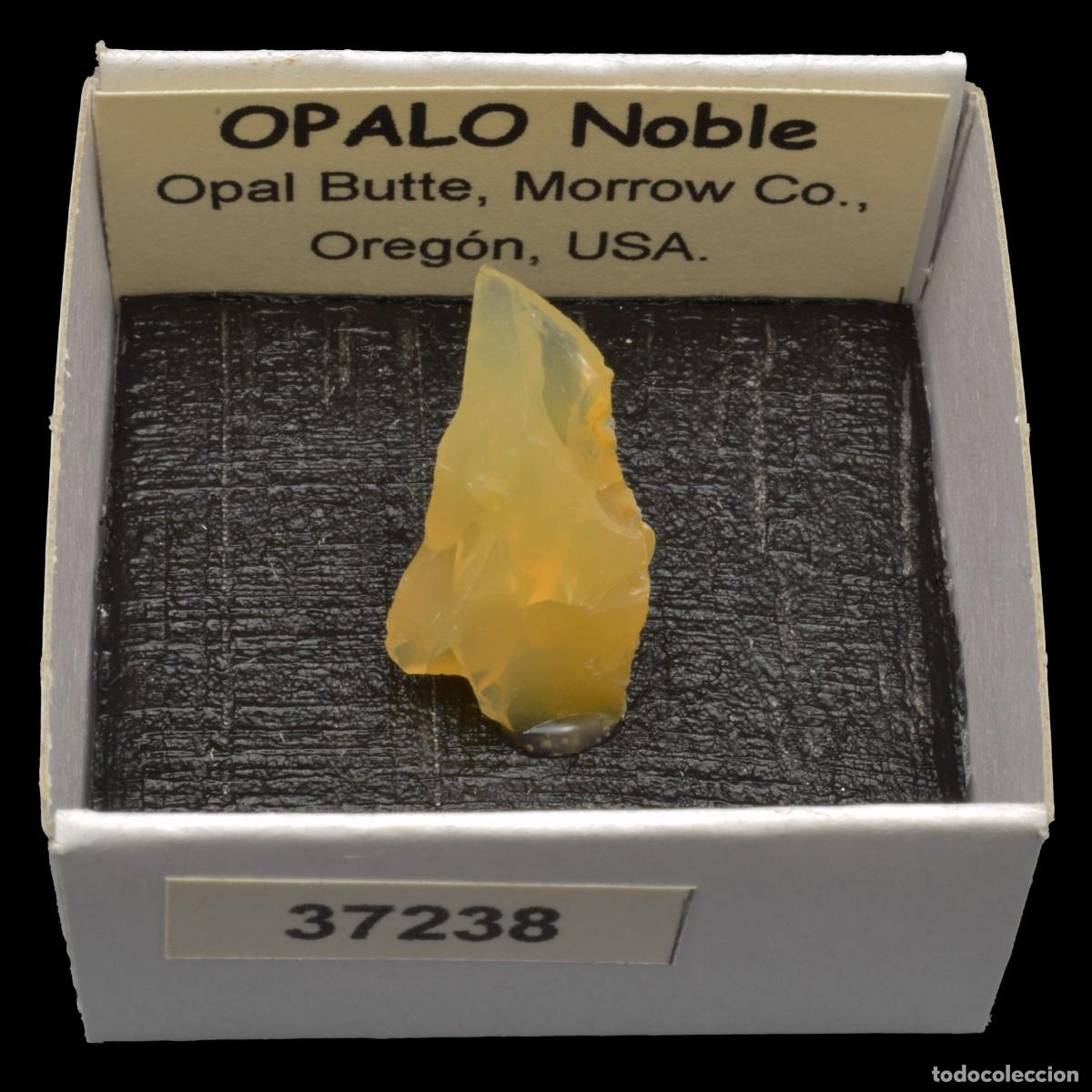 Collezionismo di minerali: OPALO Noble (Opal Butte, Morrow Co., Oregon, USA) #37238