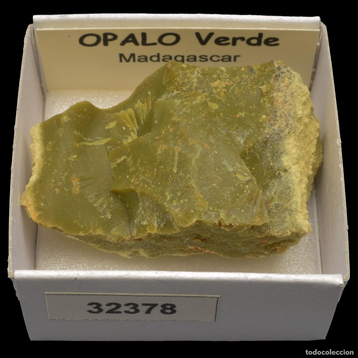Collezionismo di minerali: OPALO Verde (Madagascar) #32378