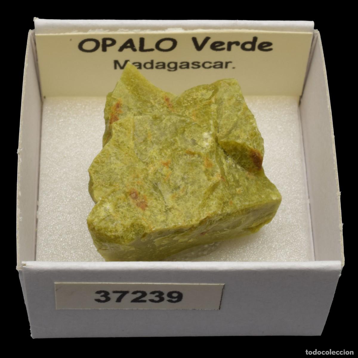 Collezionismo di minerali: OPALO Verde (Madagascar) #37239