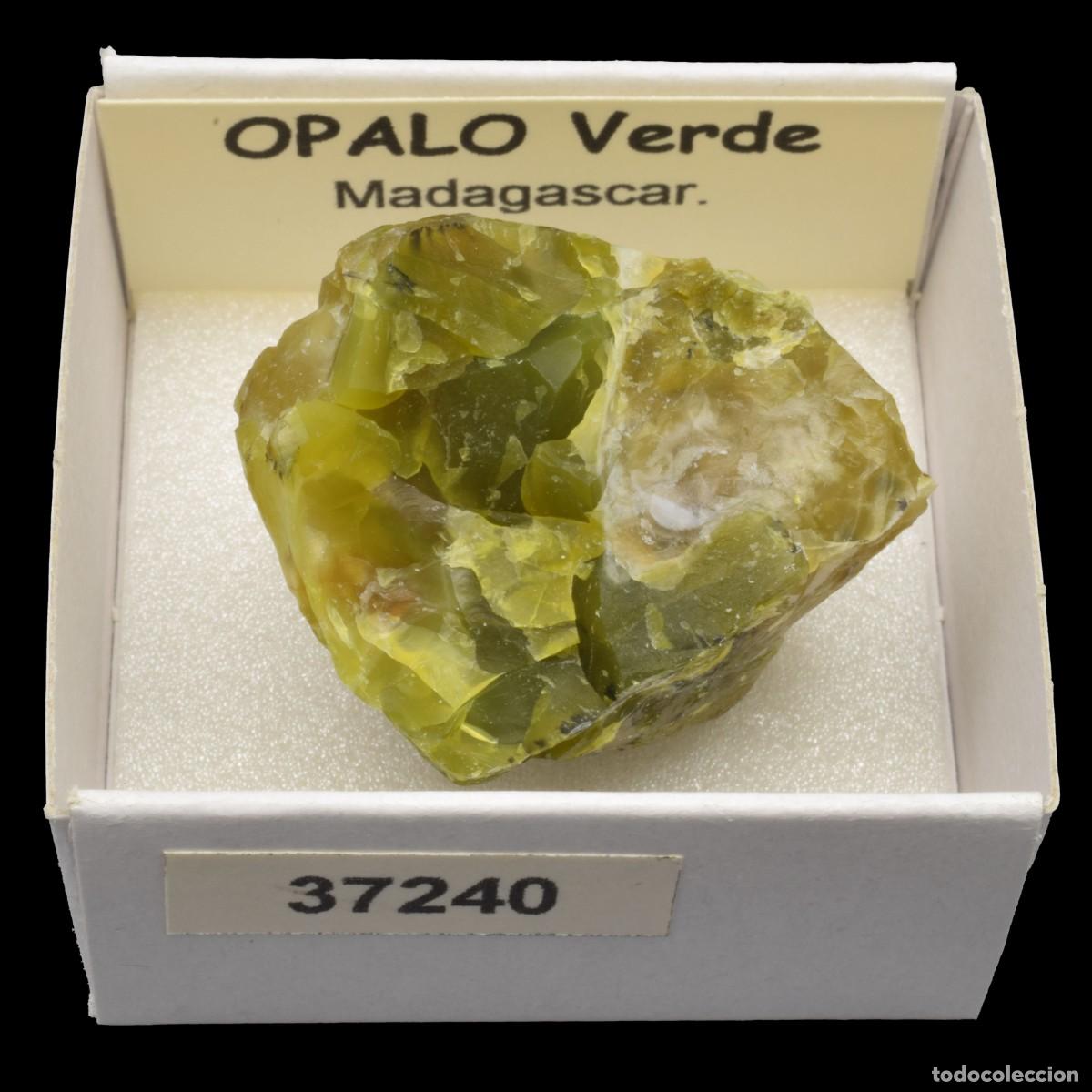 Collezionismo di minerali: OPALO Verde (Madagascar) #37240