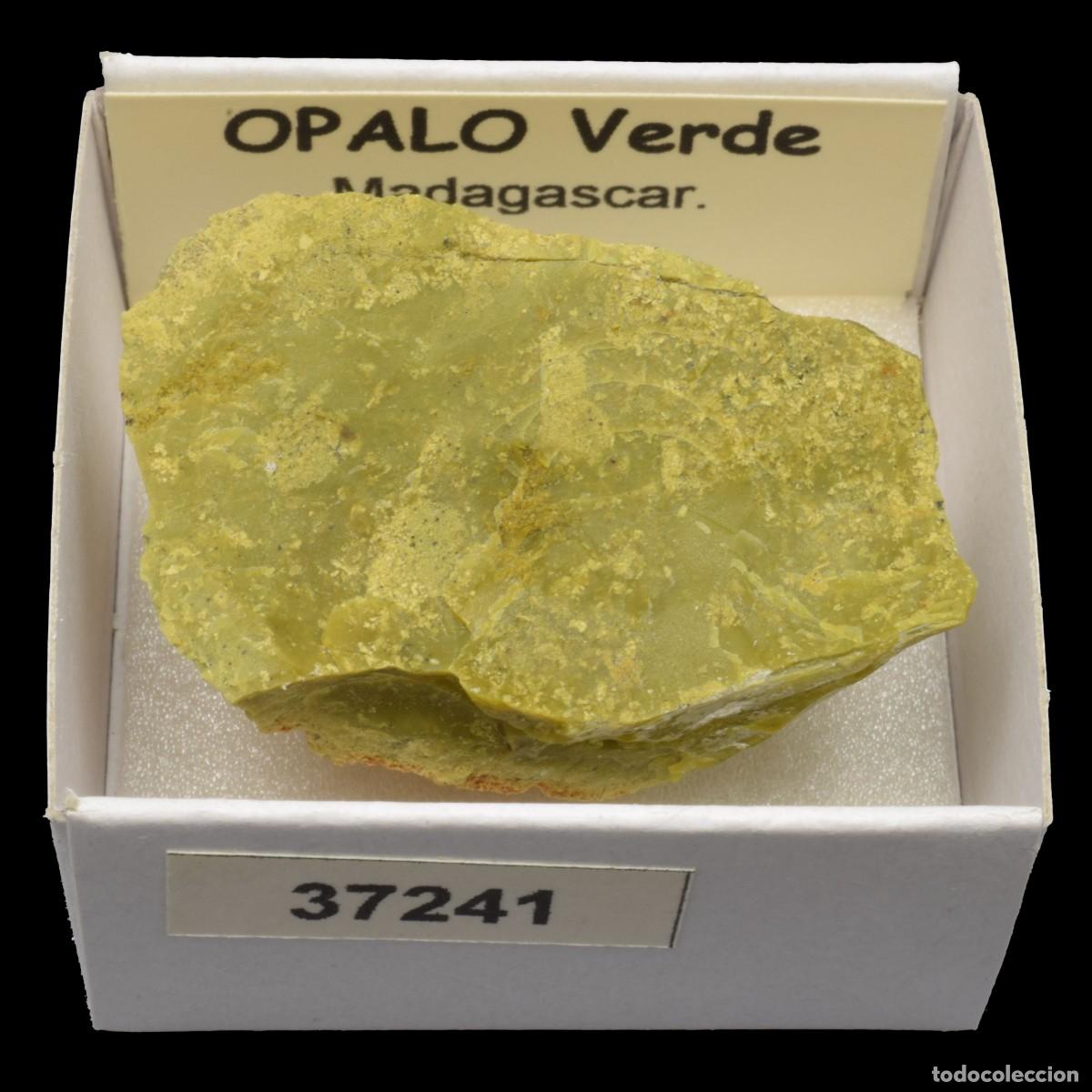 Collezionismo di minerali: OPALO Verde (Madagascar) #37241