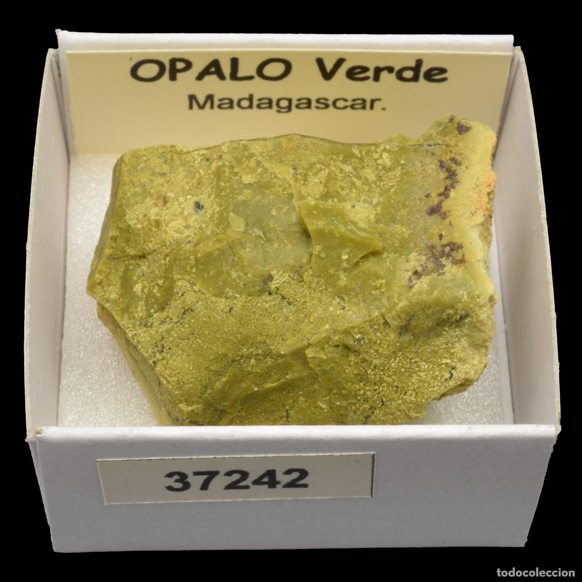Collezionismo di minerali: OPALO Verde (Madagascar) #37242