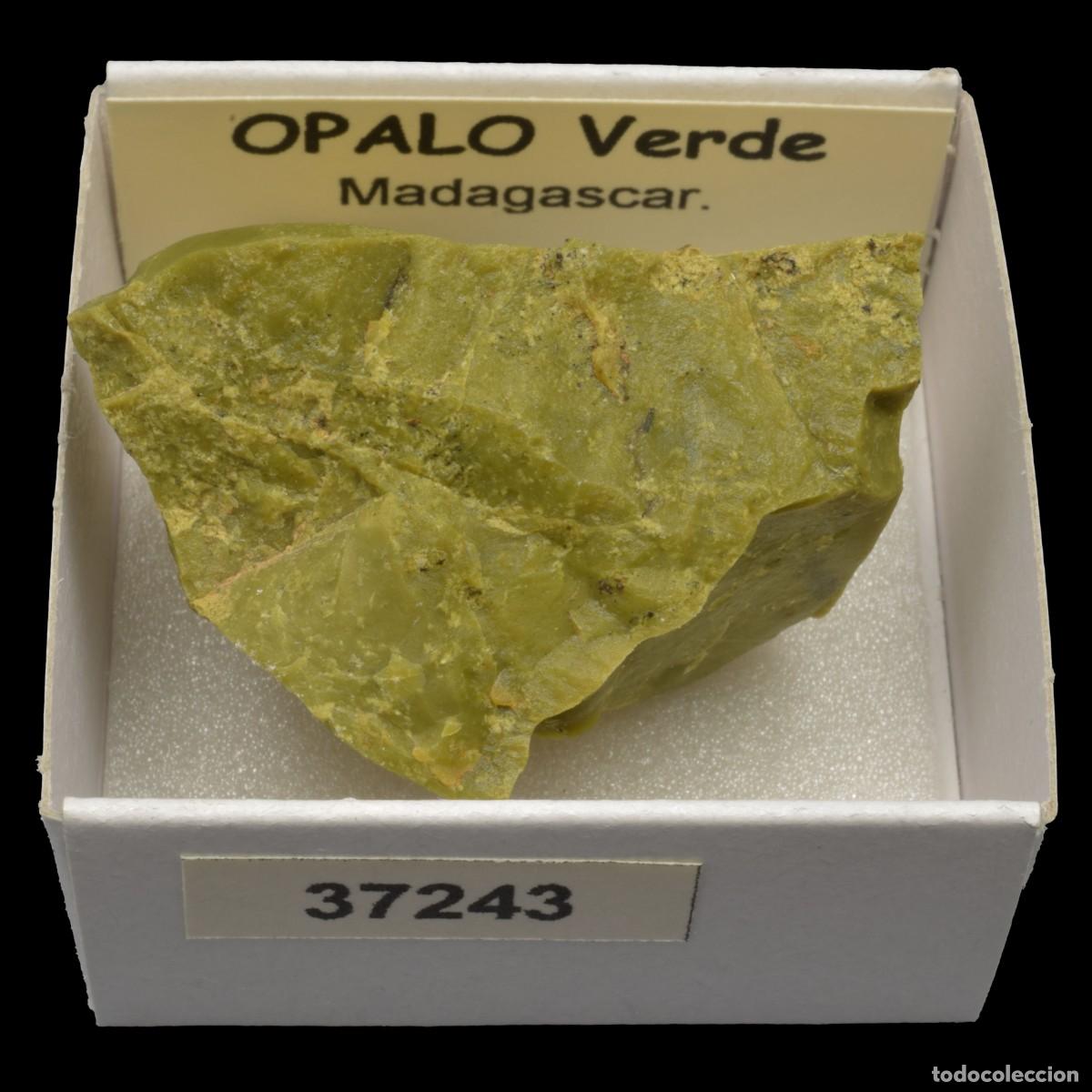 Collezionismo di minerali: OPALO Verde (Madagascar) #37243