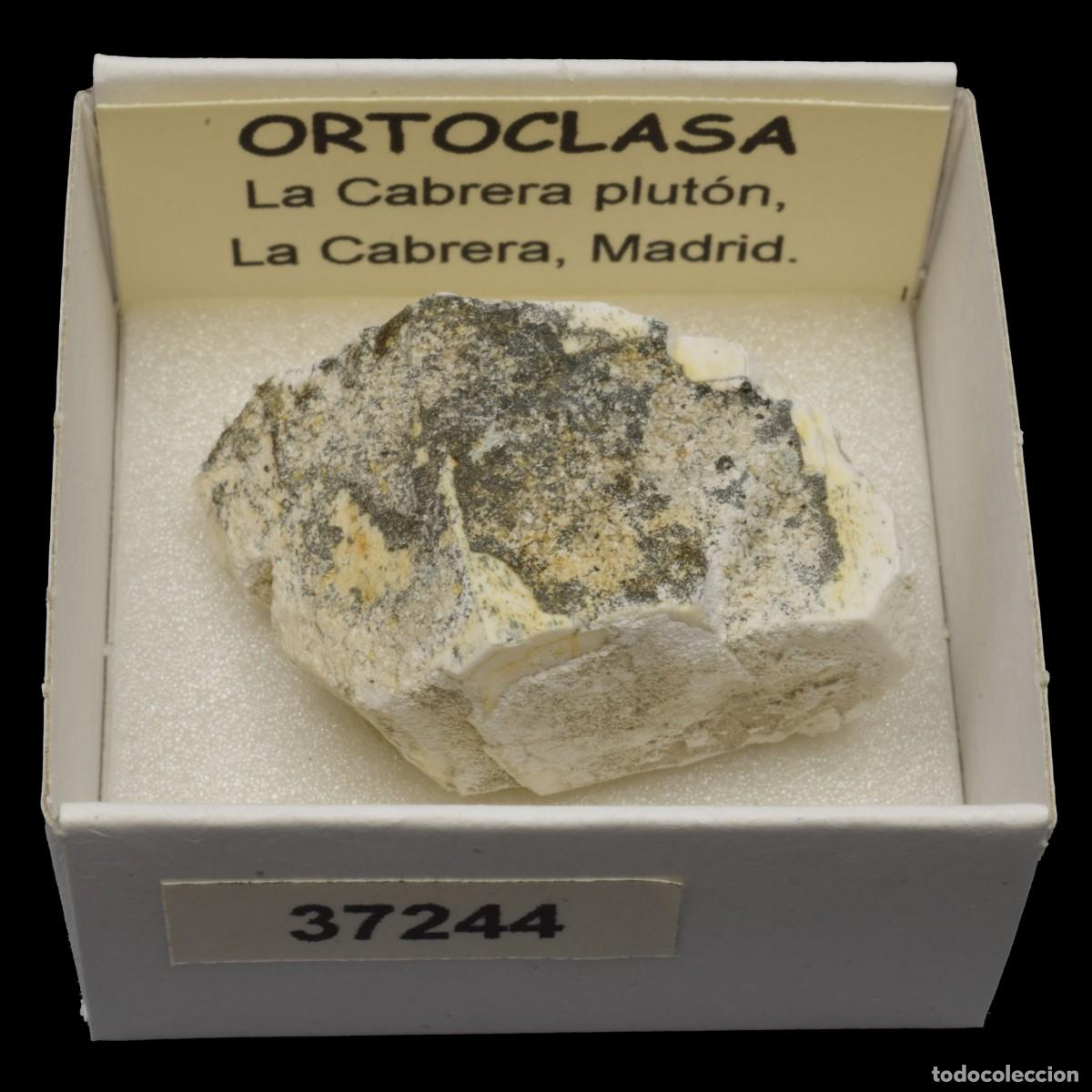 Coleccionismo de minerales: ORTOCLASA cristal (La Cabrera Pluton, La Cabrera, Madrid, Espa&ntilde;a) #37244