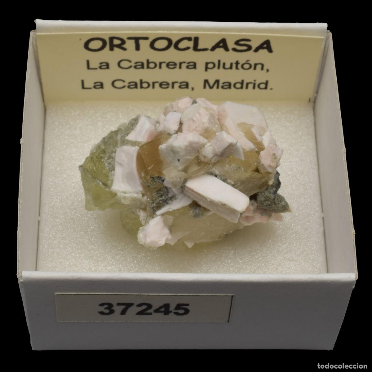 Coleccionismo de minerales: ORTOCLASA cristal (La Cabrera Pluton, La Cabrera, Madrid, Espa&ntilde;a) #37245
