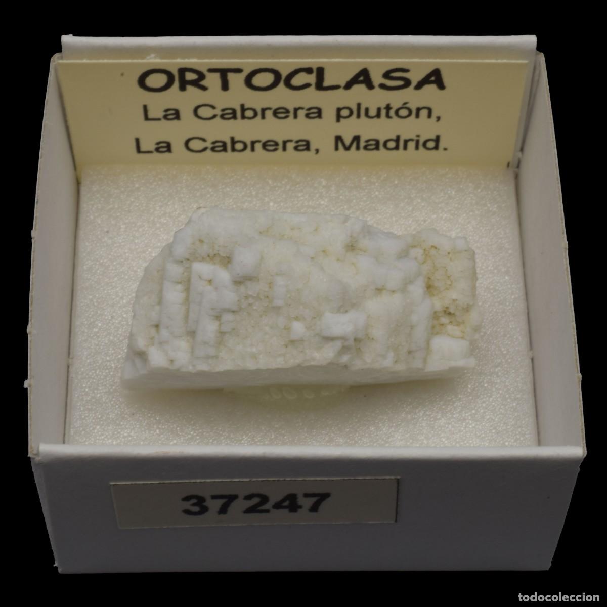 Coleccionismo de minerales: ORTOCLASA cristal (La Cabrera Pluton, La Cabrera, Madrid, Espa&ntilde;a) #37247