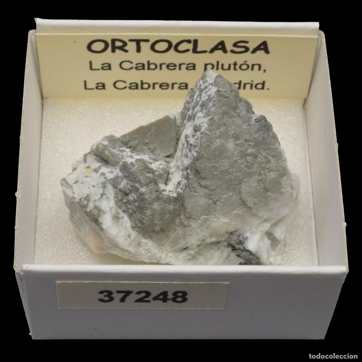 Coleccionismo de minerales: ORTOCLASA cristal (La Cabrera Pluton, La Cabrera, Madrid, Espa&ntilde;a) #37248