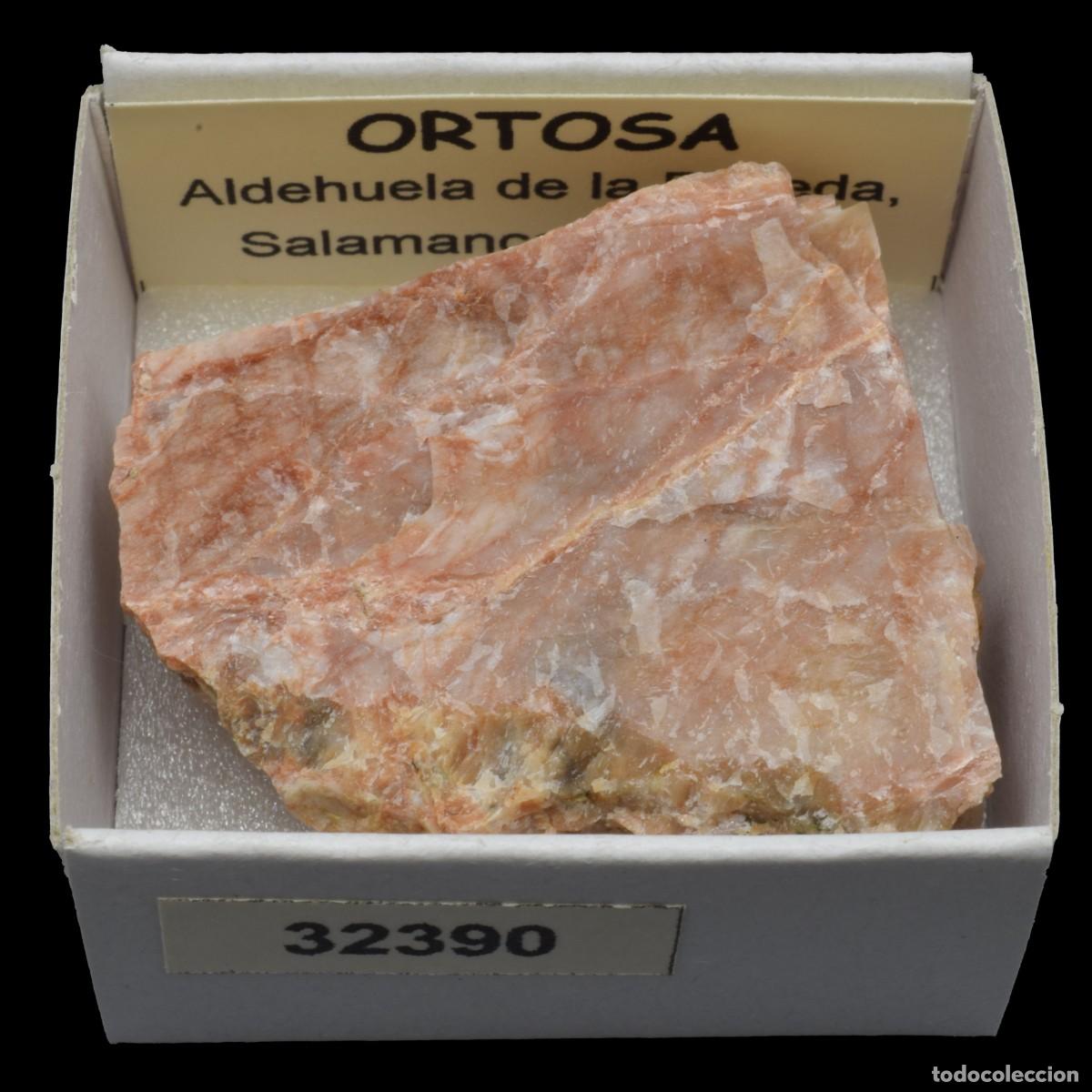 Coleccionismo de minerales: ORTOSA (Aldehuela de la Boveda, Salamanca, Espa&ntilde;a) #32390