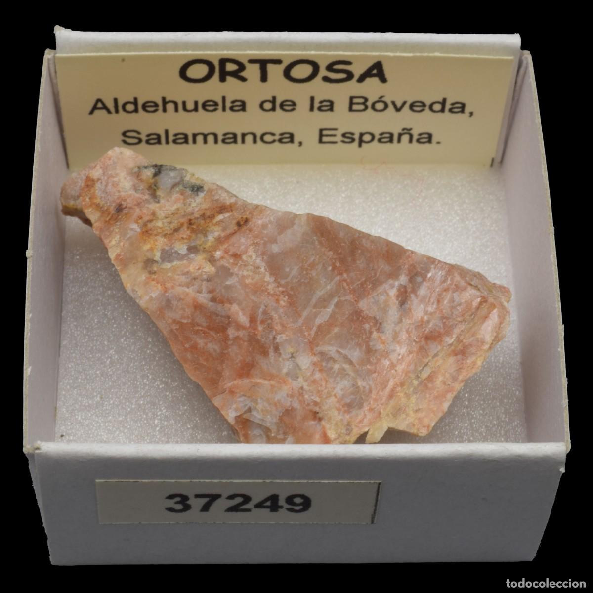 Coleccionismo de minerales: ORTOSA (Aldehuela de la Boveda, Salamanca, Espa&ntilde;a) #37249