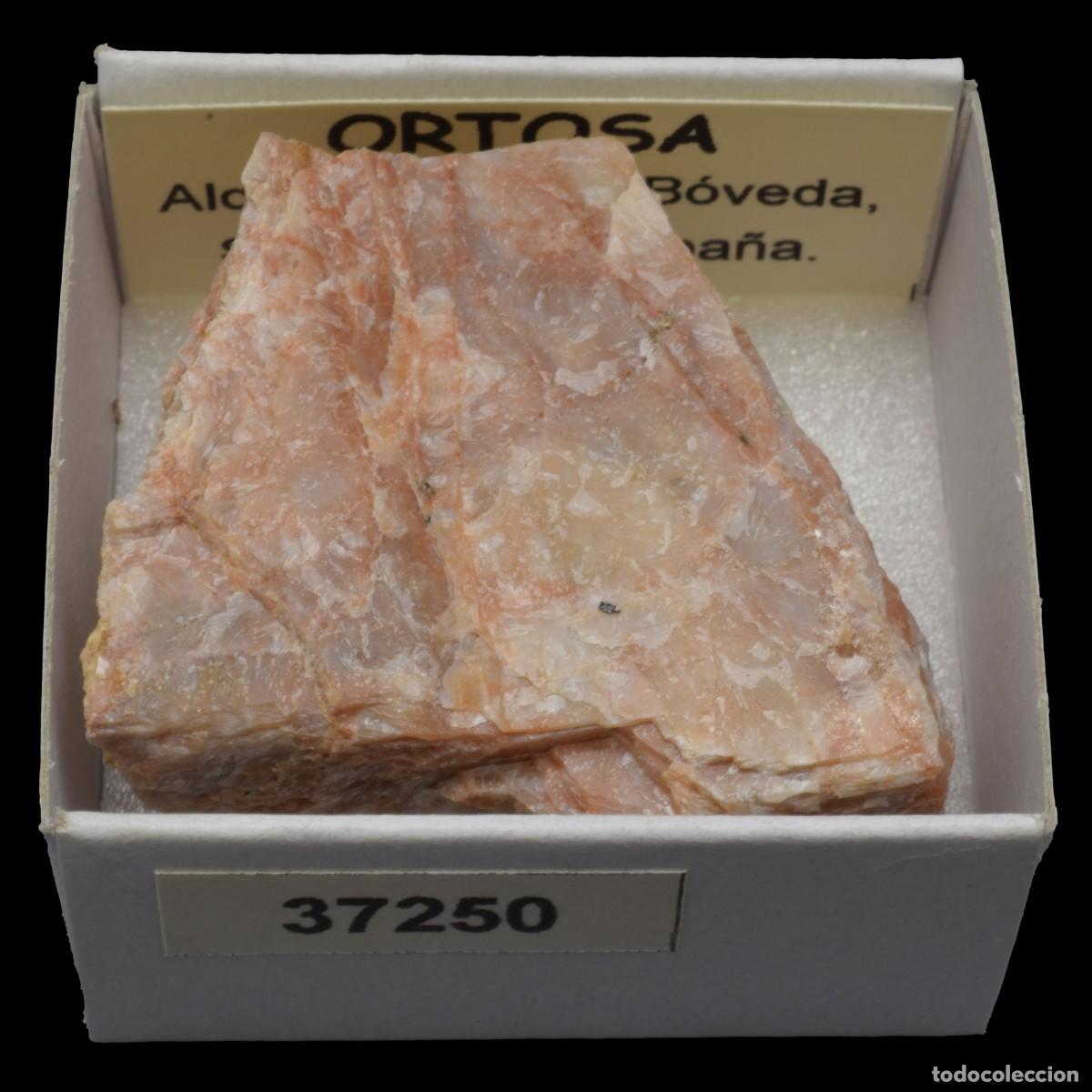 Coleccionismo de minerales: ORTOSA (Aldehuela de la Boveda, Salamanca, Espa&ntilde;a) #37250