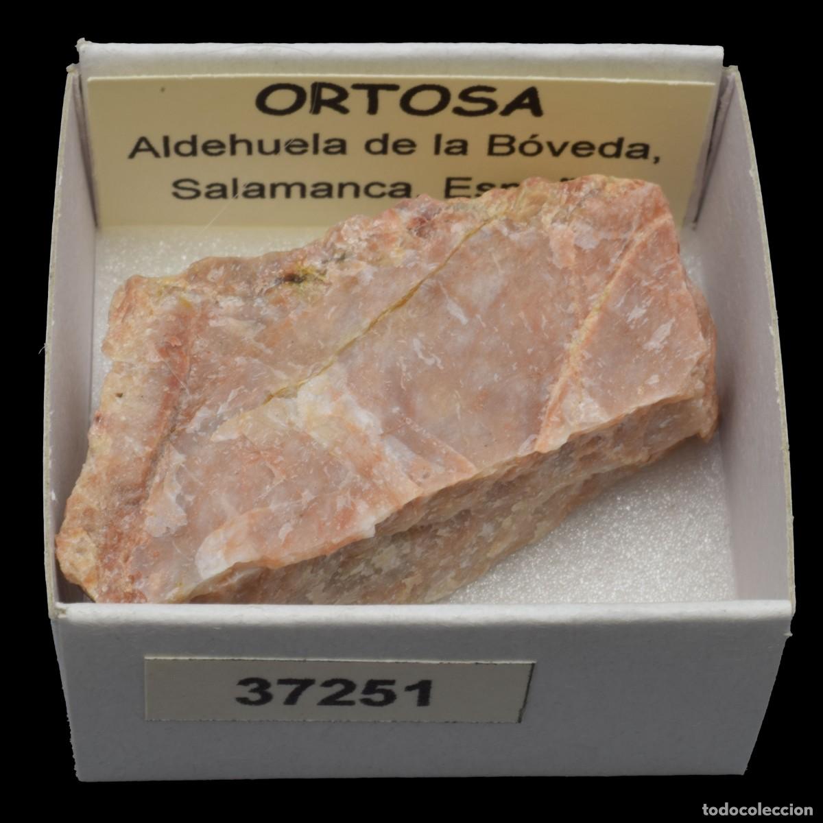 Coleccionismo de minerales: ORTOSA (Aldehuela de la Boveda, Salamanca, Espa&ntilde;a) #37251