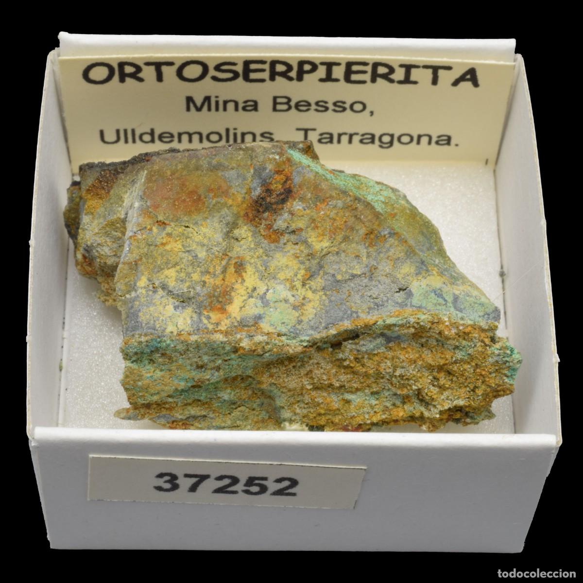 Coleccionismo de minerales: ORTOSERPIERITA (Mina Besso, Ulldemolis, Tarragona, Espa&ntilde;a) #37252