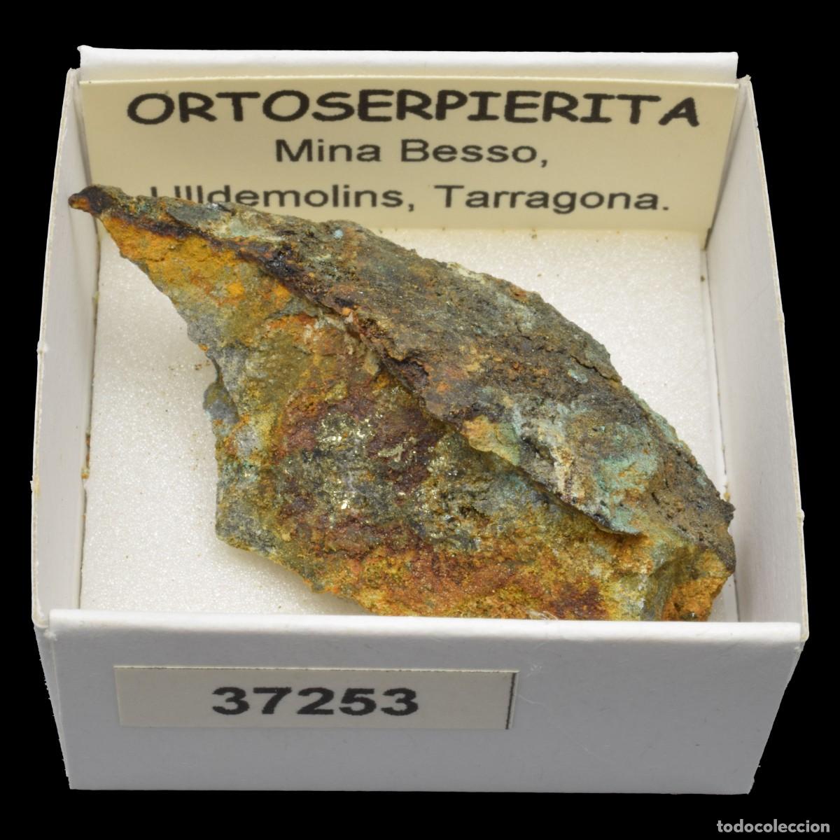 Coleccionismo de minerales: ORTOSERPIERITA (Mina Besso, Ulldemolis, Tarragona, Espa&ntilde;a) #37253