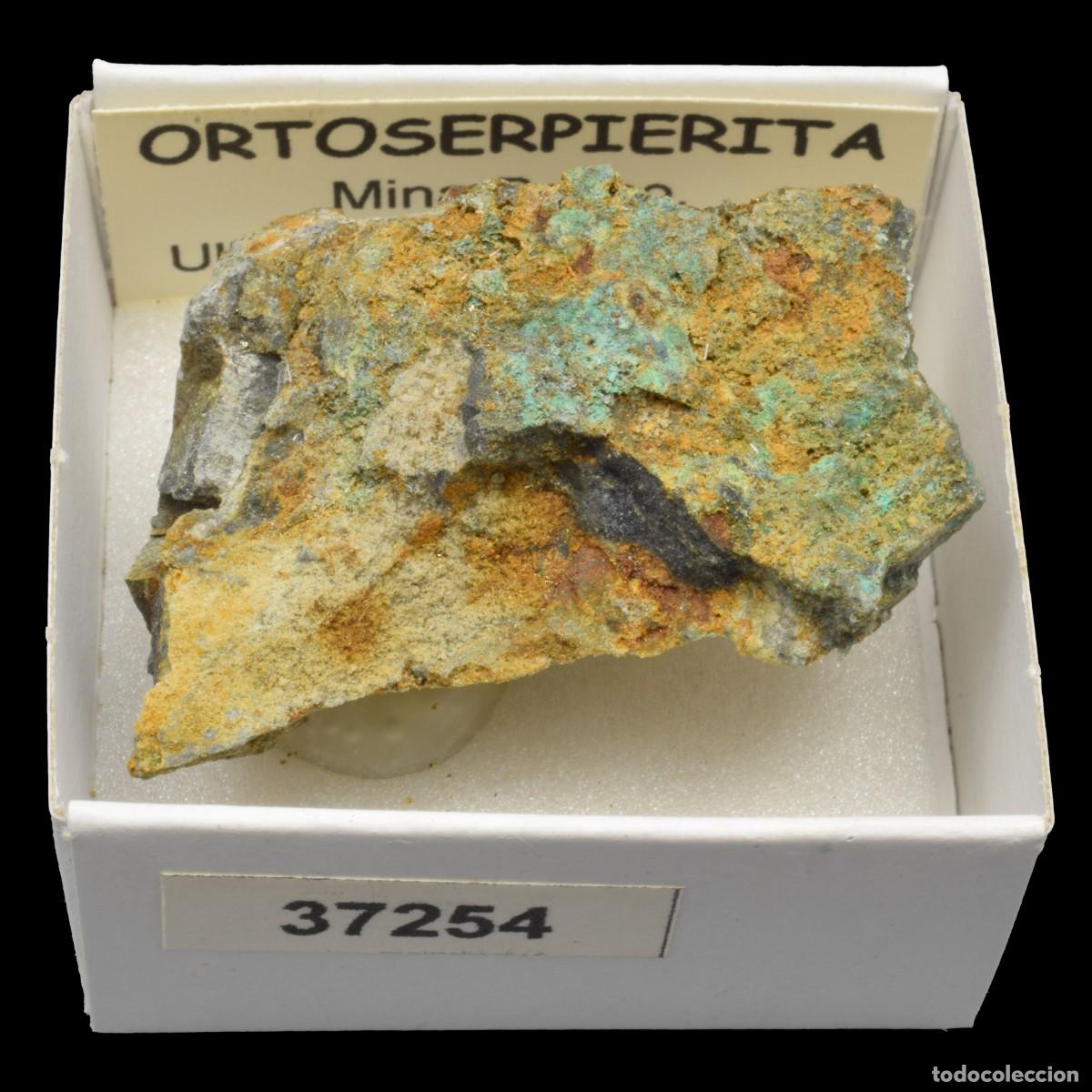 Coleccionismo de minerales: ORTOSERPIERITA (Mina Besso, Ulldemolis, Tarragona, Espa&ntilde;a) #37254