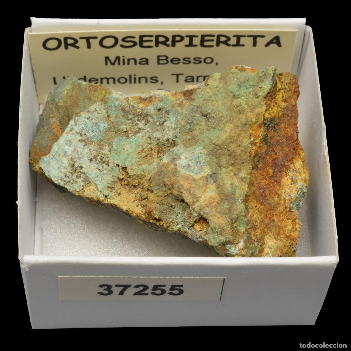 Coleccionismo de minerales: ORTOSERPIERITA (Mina Besso, Ulldemolis, Tarragona, Espa&ntilde;a) #37255