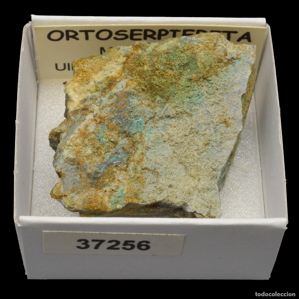 Coleccionismo de minerales: ORTOSERPIERITA (Mina Besso, Ulldemolis, Tarragona, Espa&ntilde;a) #37256