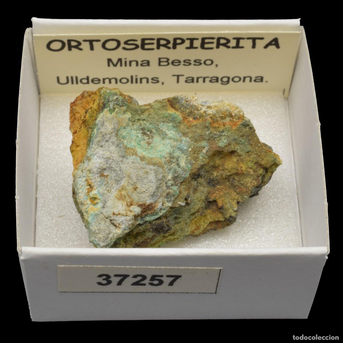 Coleccionismo de minerales: ORTOSERPIERITA (Mina Besso, Ulldemolis, Tarragona, Espa&ntilde;a) #37257