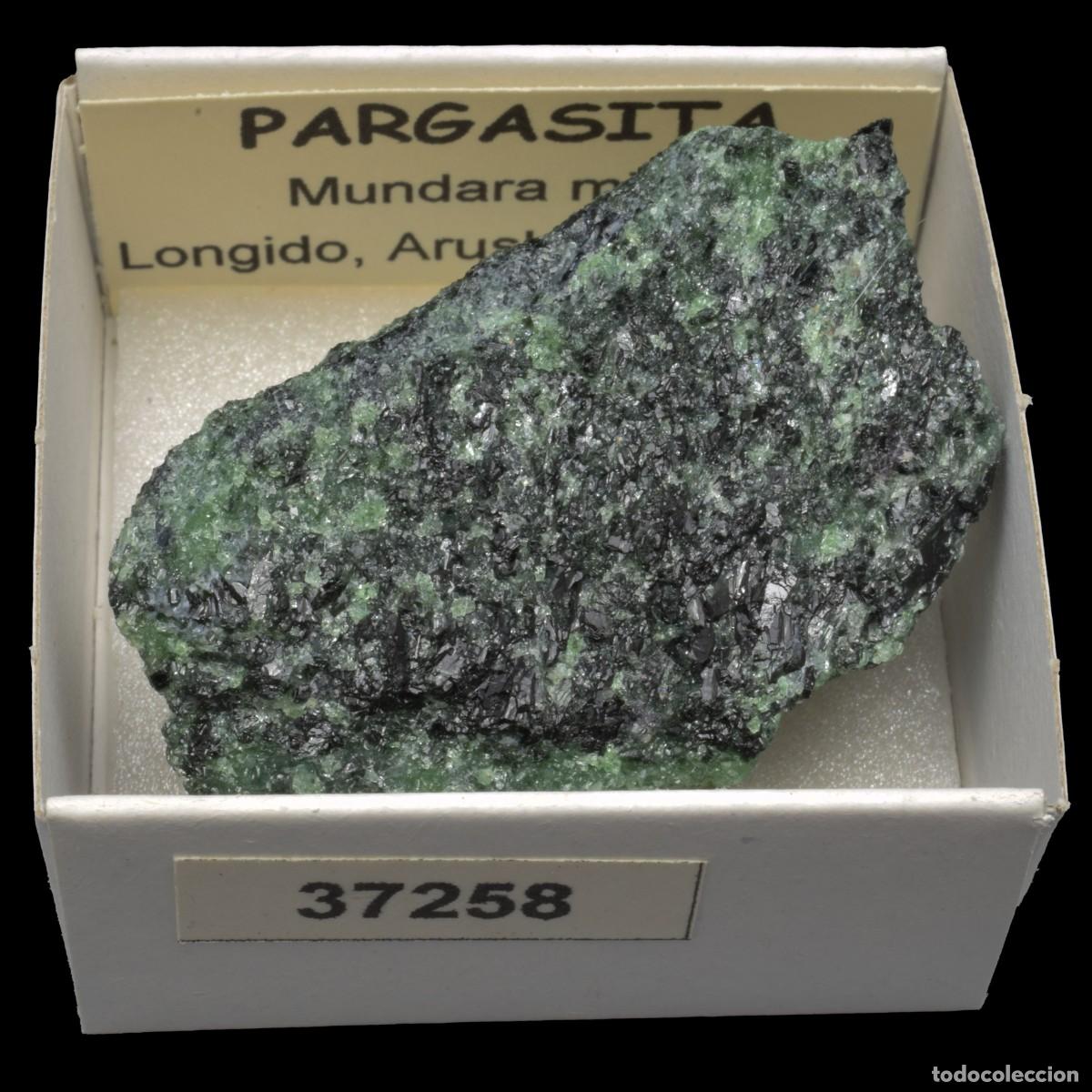 Coleccionismo de minerales: PARGASITA (Mundara mine, Longido, Arusha, Tanzania) #37258