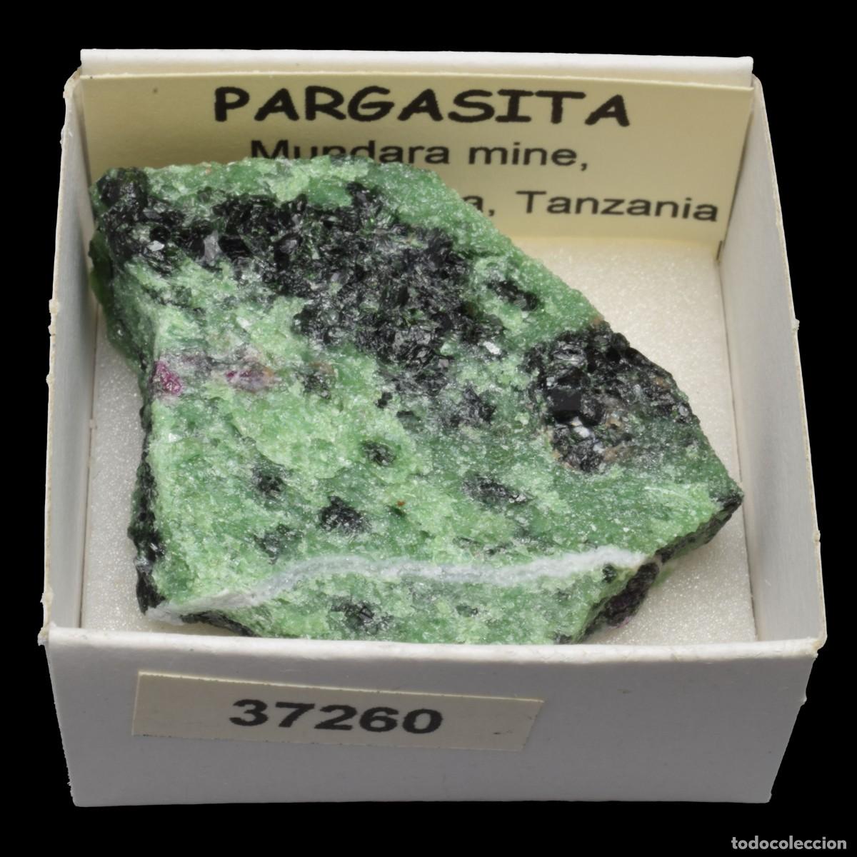 Coleccionismo de minerales: PARGASITA (Mundara mine, Longido, Arusha, Tanzania) #37260