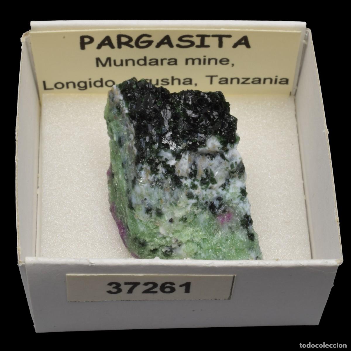 Coleccionismo de minerales: PARGASITA (Mundara mine, Longido, Arusha, Tanzania) #37261