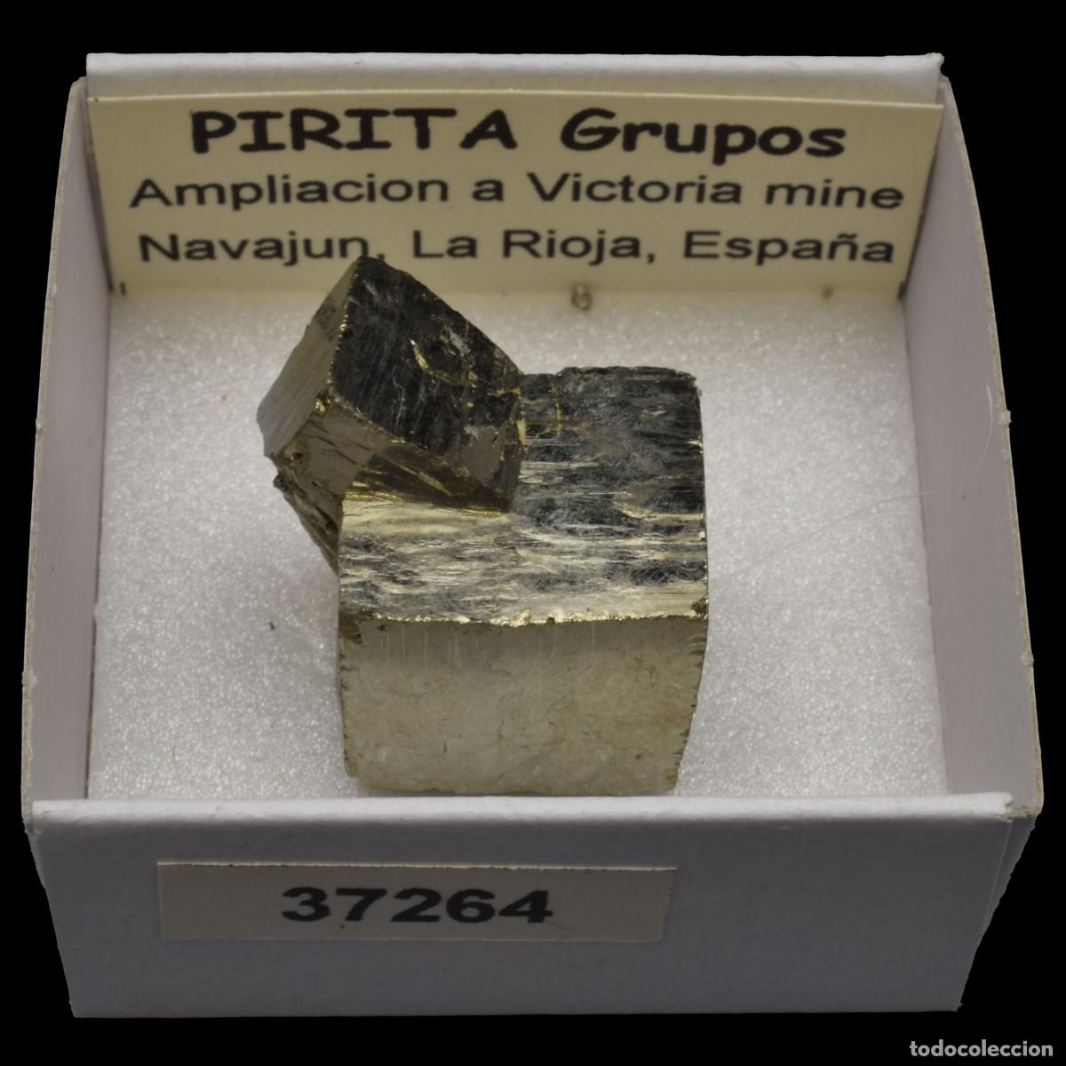 Coleccionismo de minerales: PIRITA Cubo &rdquo;grupos&rdquo; (Mina Ampliacion a Victoria, Navajun, La Rioja, Espa&ntilde;a) #37264