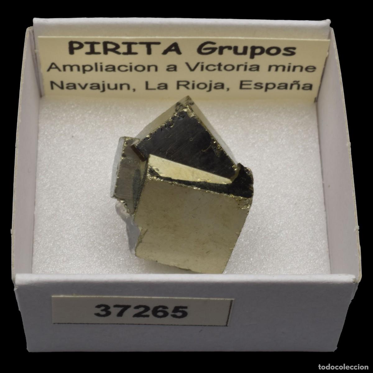Coleccionismo de minerales: PIRITA Cubo &rdquo;grupos&rdquo; (Mina Ampliacion a Victoria, Navajun, La Rioja, Espa&ntilde;a) #37265