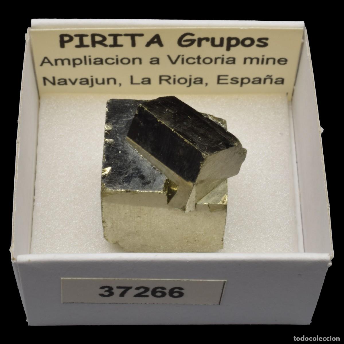 Coleccionismo de minerales: PIRITA Cubo &rdquo;grupos&rdquo; (Mina Ampliacion a Victoria, Navajun, La Rioja, Espa&ntilde;a) #37266