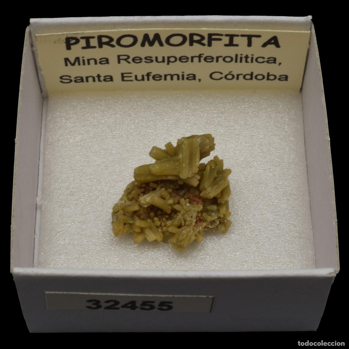 Coleccionismo de minerales: PIROMORFITA (Mina Resuperferolitica, Santa Eufemia, Cordoba, Espa&ntilde;a) #32455