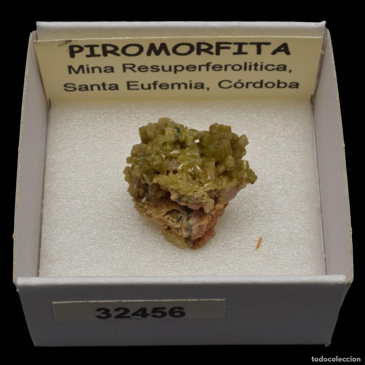 Coleccionismo de minerales: PIROMORFITA (Mina Resuperferolitica, Santa Eufemia, Cordoba, Espa&ntilde;a) #32456