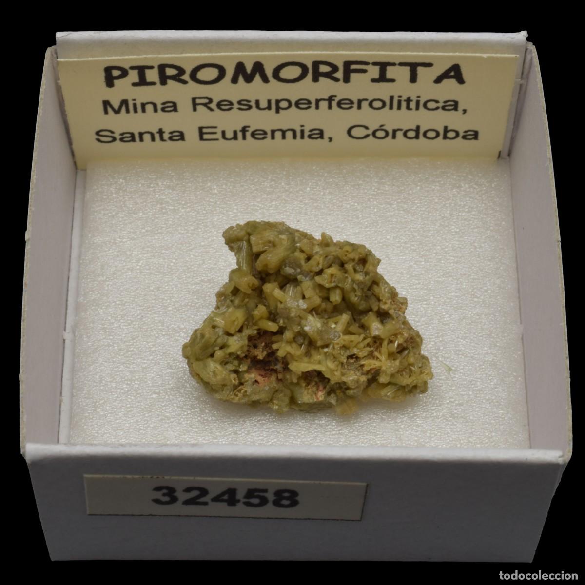 Coleccionismo de minerales: PIROMORFITA (Mina Resuperferolitica, Santa Eufemia, Cordoba, Espa&ntilde;a) #32458