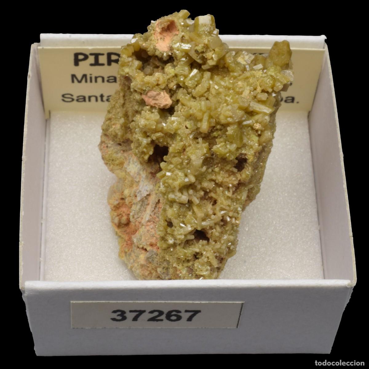 Coleccionismo de minerales: PIROMORFITA (Mina Resuperferolitica, Santa Eufemia, Cordoba, Espa&ntilde;a) #37267