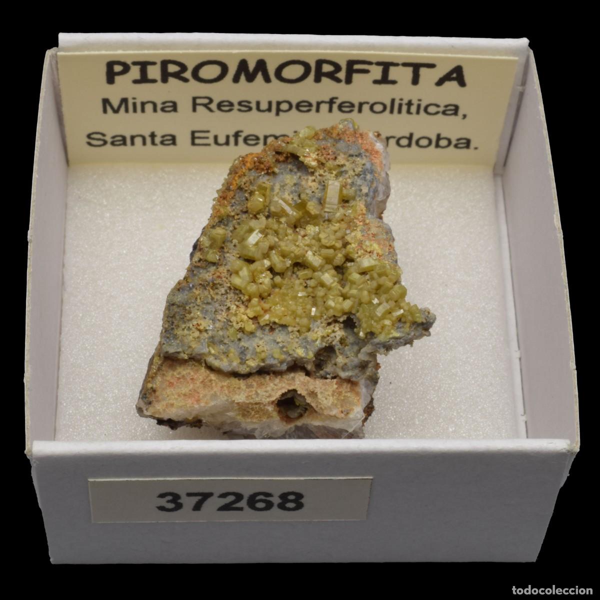Coleccionismo de minerales: PIROMORFITA (Mina Resuperferolitica, Santa Eufemia, Cordoba, Espa&ntilde;a) #37268