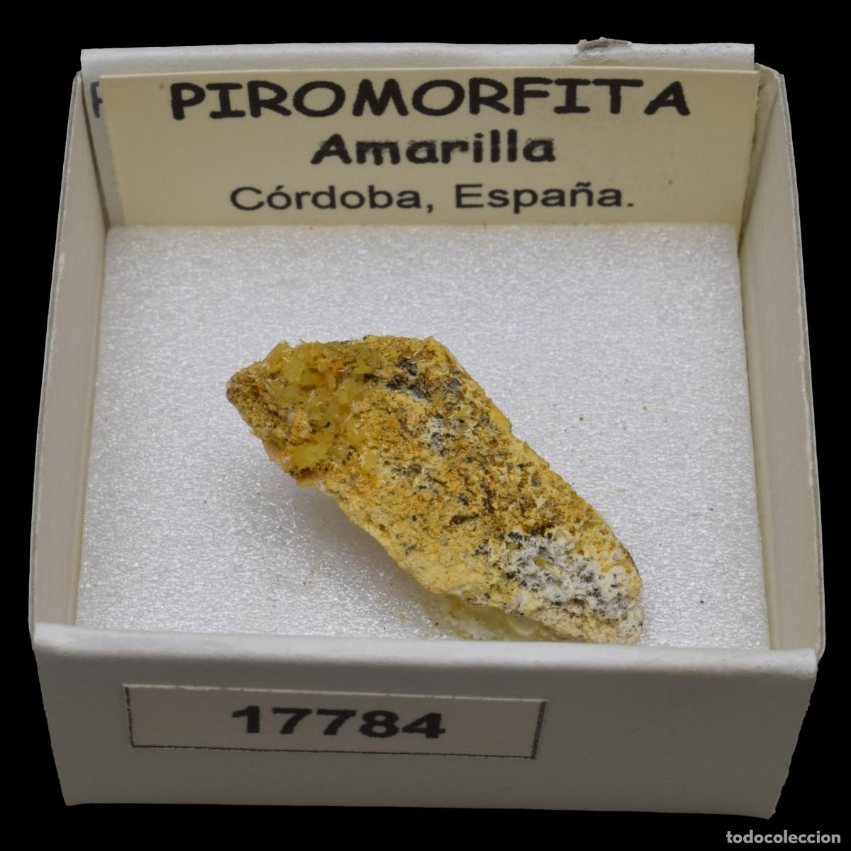 Coleccionismo de minerales: PIROMORFITA Amarilla (Cordoba, Espa&ntilde;a) #17784