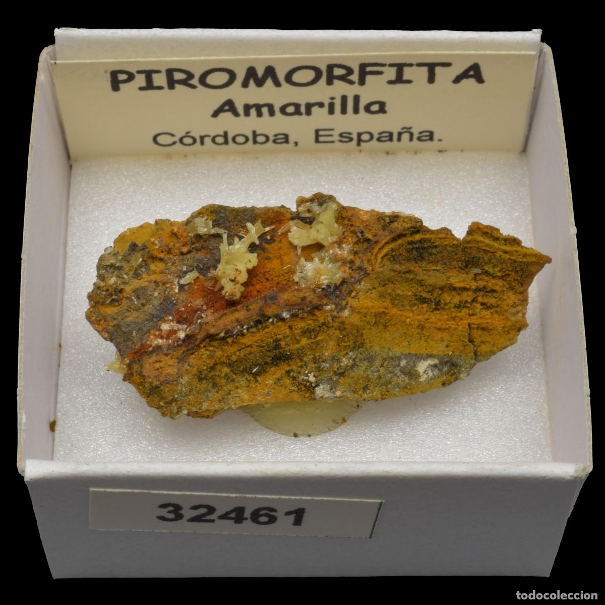 Coleccionismo de minerales: PIROMORFITA Amarilla (Cordoba, Espa&ntilde;a) #32461