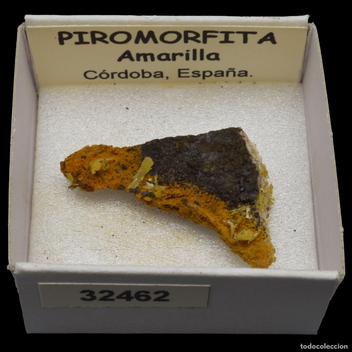 Coleccionismo de minerales: PIROMORFITA Amarilla (Cordoba, Espa&ntilde;a) #32462