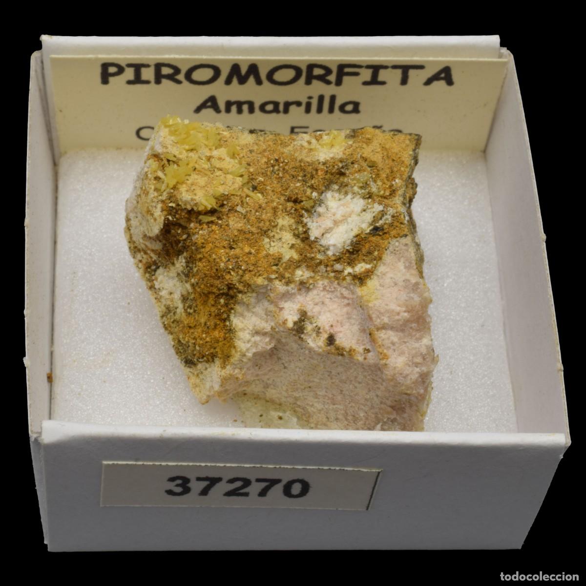 Coleccionismo de minerales: PIROMORFITA Amarilla (Cordoba, Espa&ntilde;a) #37270