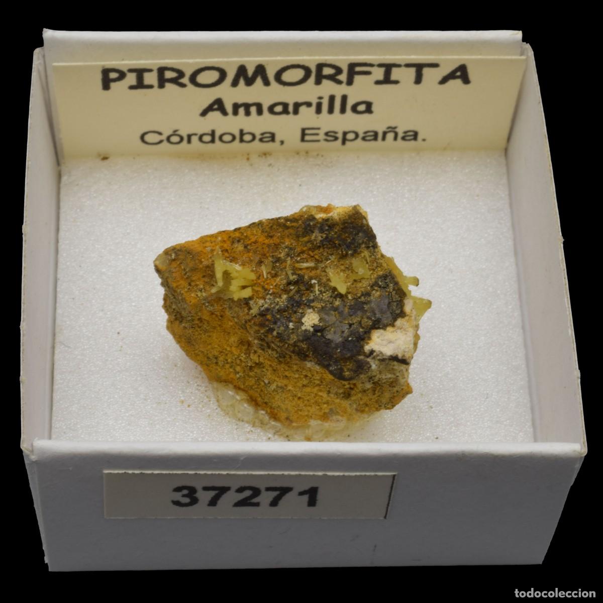 Coleccionismo de minerales: PIROMORFITA Amarilla (Cordoba, Espa&ntilde;a) #37271