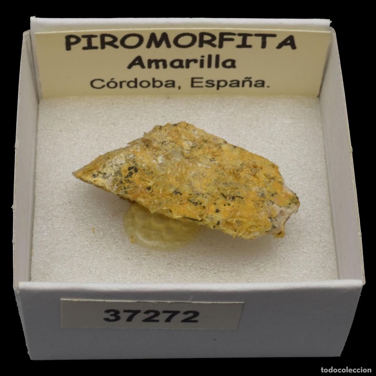 Coleccionismo de minerales: PIROMORFITA Amarilla (Cordoba, Espa&ntilde;a) #37272