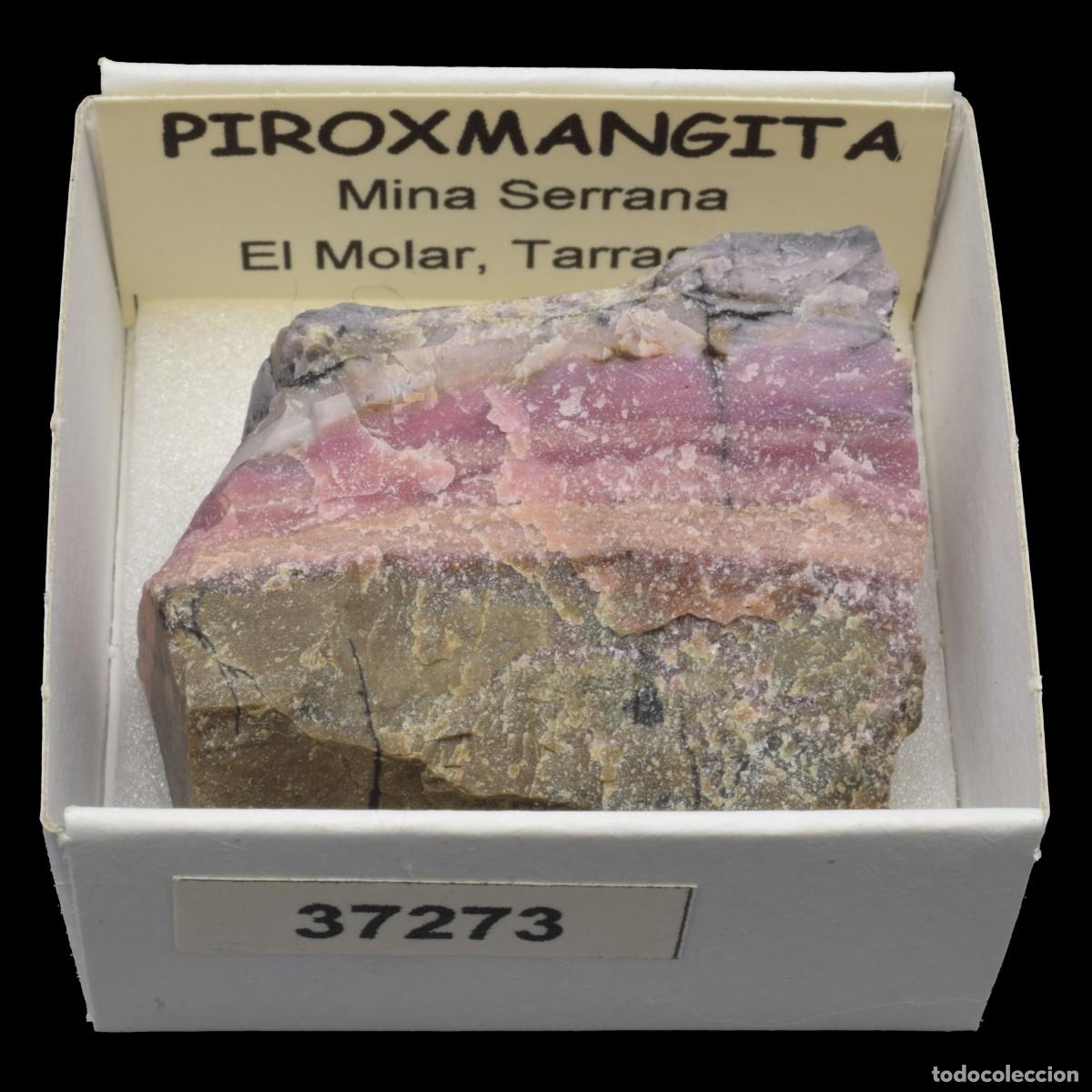 Coleccionismo de minerales: PIROXMANGITA (Mina Serrana, El Molar, Tarragona, Espa&ntilde;a) #37273