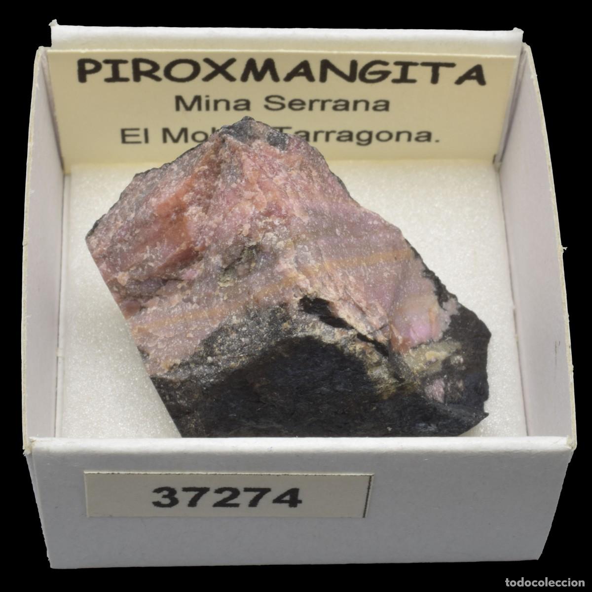 Coleccionismo de minerales: PIROXMANGITA (Mina Serrana, El Molar, Tarragona, Espa&ntilde;a) #37274