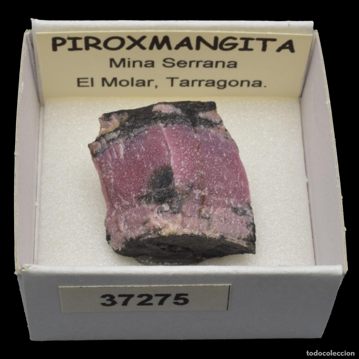 Coleccionismo de minerales: PIROXMANGITA (Mina Serrana, El Molar, Tarragona, Espa&ntilde;a) #37275