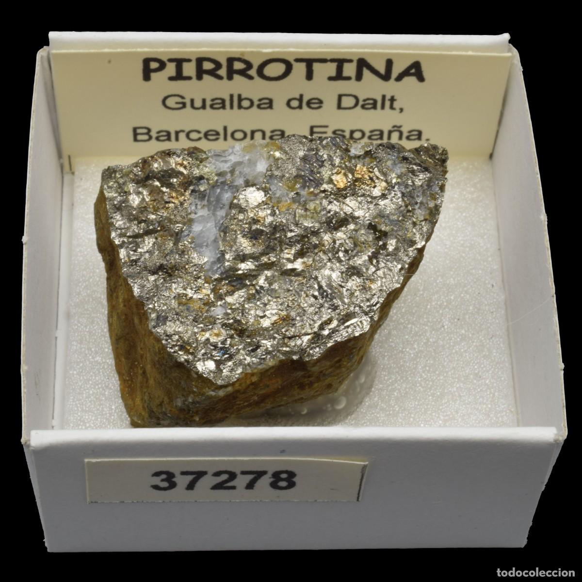 Coleccionismo de minerales: PIRROTINA (Gualba de Dalt, Barcelona, Espa&ntilde;a) #37278