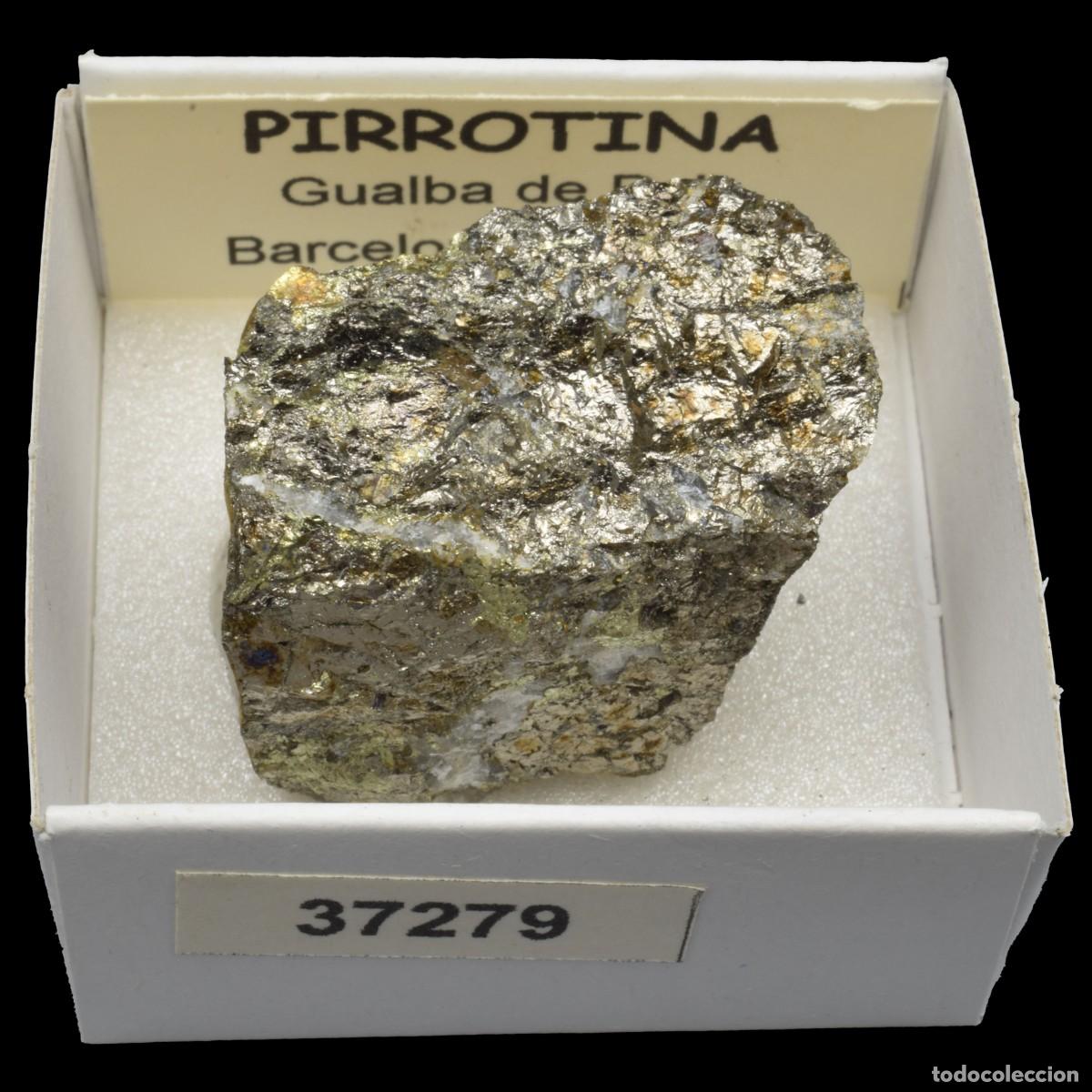Coleccionismo de minerales: PIRROTINA (Gualba de Dalt, Barcelona, Espa&ntilde;a) #37279